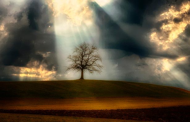 Что я знаю о войне?