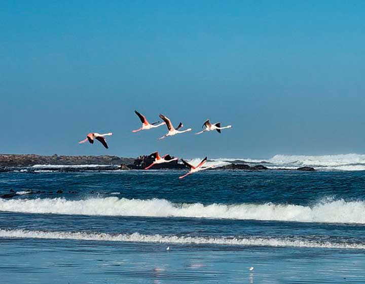 Никто не забыт, ничто не забыто