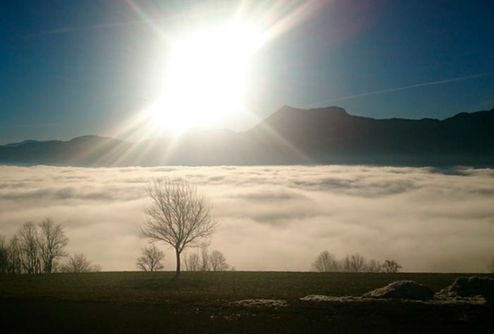 Анализ романа Толстого Князь Серебряный