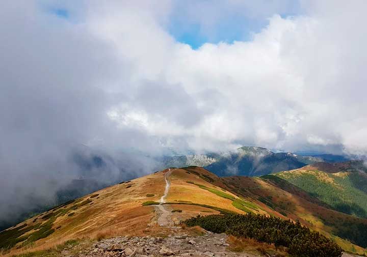 Главная идея рассказа Кавказский пленник