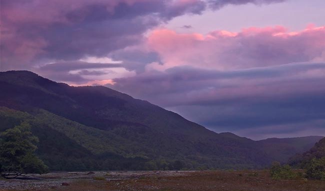 Партизанская война в романе Война и мир