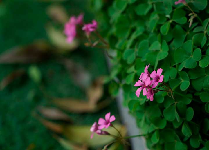 По роману Война и мир