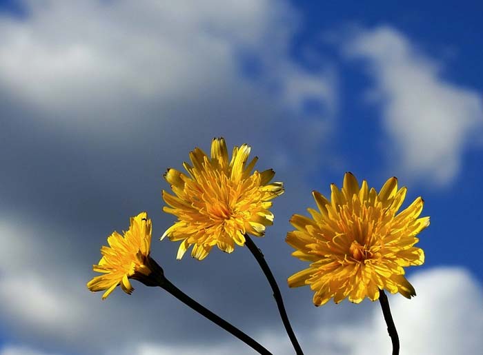 Критика о романе Тургенева Отцы и дети