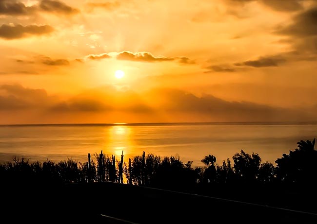 Нигилизм Базарова в романе Отцы и дети Тургенева