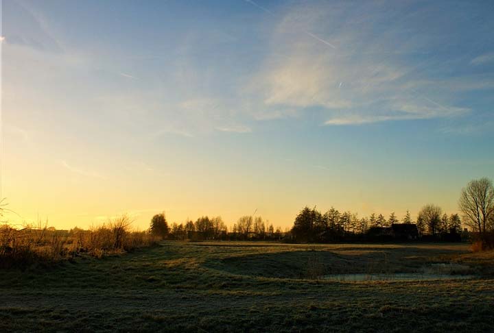Сочинение по рассказу Бежин луг Тургенева 6 класс